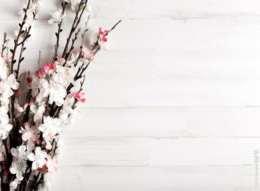 Фотофон 20 из каталога Фотофоны в интернет-магазине BPW.style