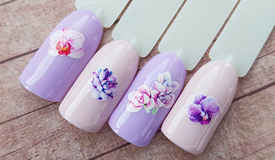 Фото Дизайн с тропическими цветами из категории Мастер-классы с нашими слайдерами