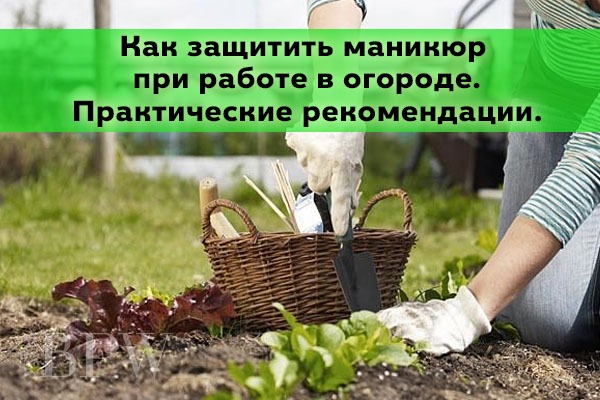 Фото Как защитить маникюр при работе в огороде. Практические рекомендации. из категории Красота-это не роскошь! Уход за руками и маникюр в домашних условиях