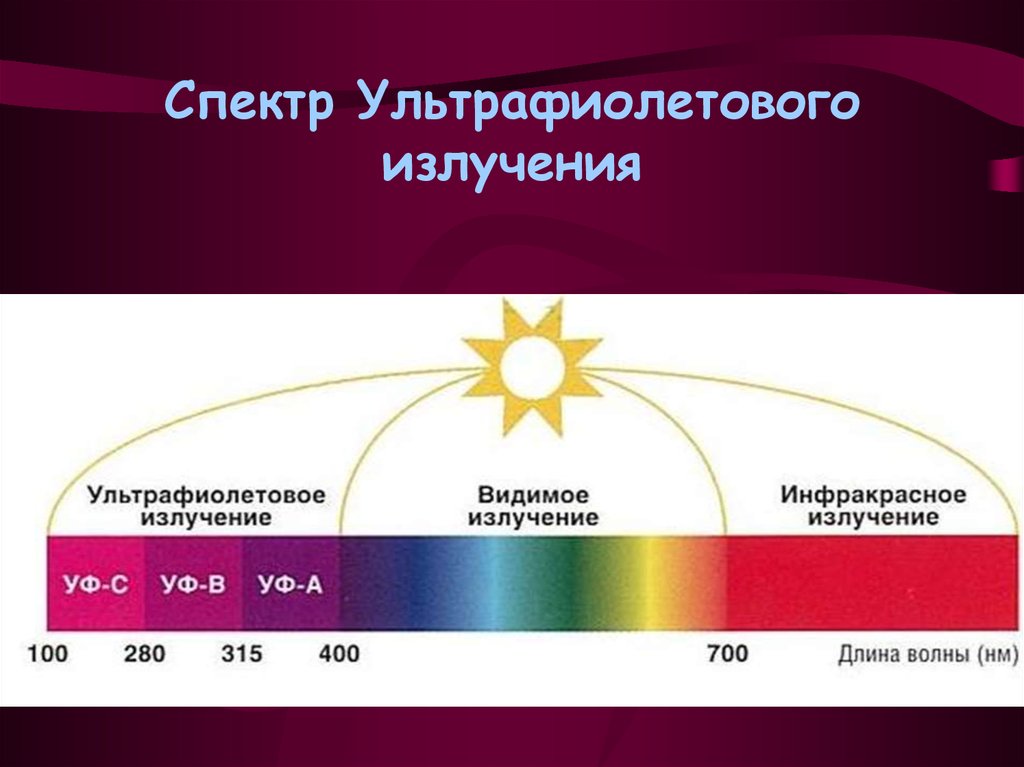 спектр ультрафиолетовых лучей: УФ-А, УФ-В, УФ-С