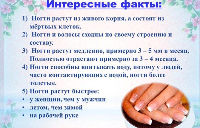 Почему ногти медленно растут