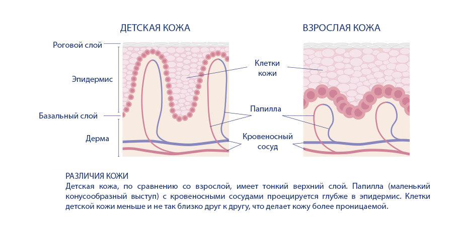 Отличие детской кожи от взрослой
