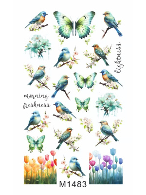 Слайдер Mezze набор Лето из каталога Слайдеры MEZZE Наборы 8 шт, в интернет-магазине BPW.style