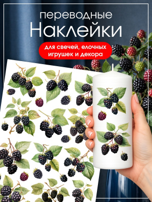 Наклейки переводные для свечей и декора Ежевика из каталога Наклейки декупажные для декора свечей, яиц, изделий из гипса, в интернет-магазине BPW.style