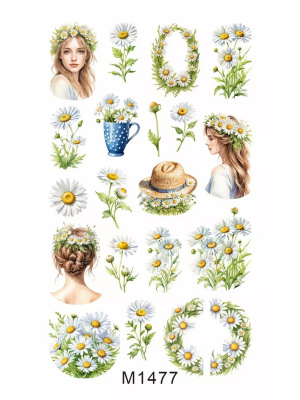 Слайдер Mezze набор Лето из каталога Слайдеры MEZZE Наборы 8 шт, в интернет-магазине BPW.style